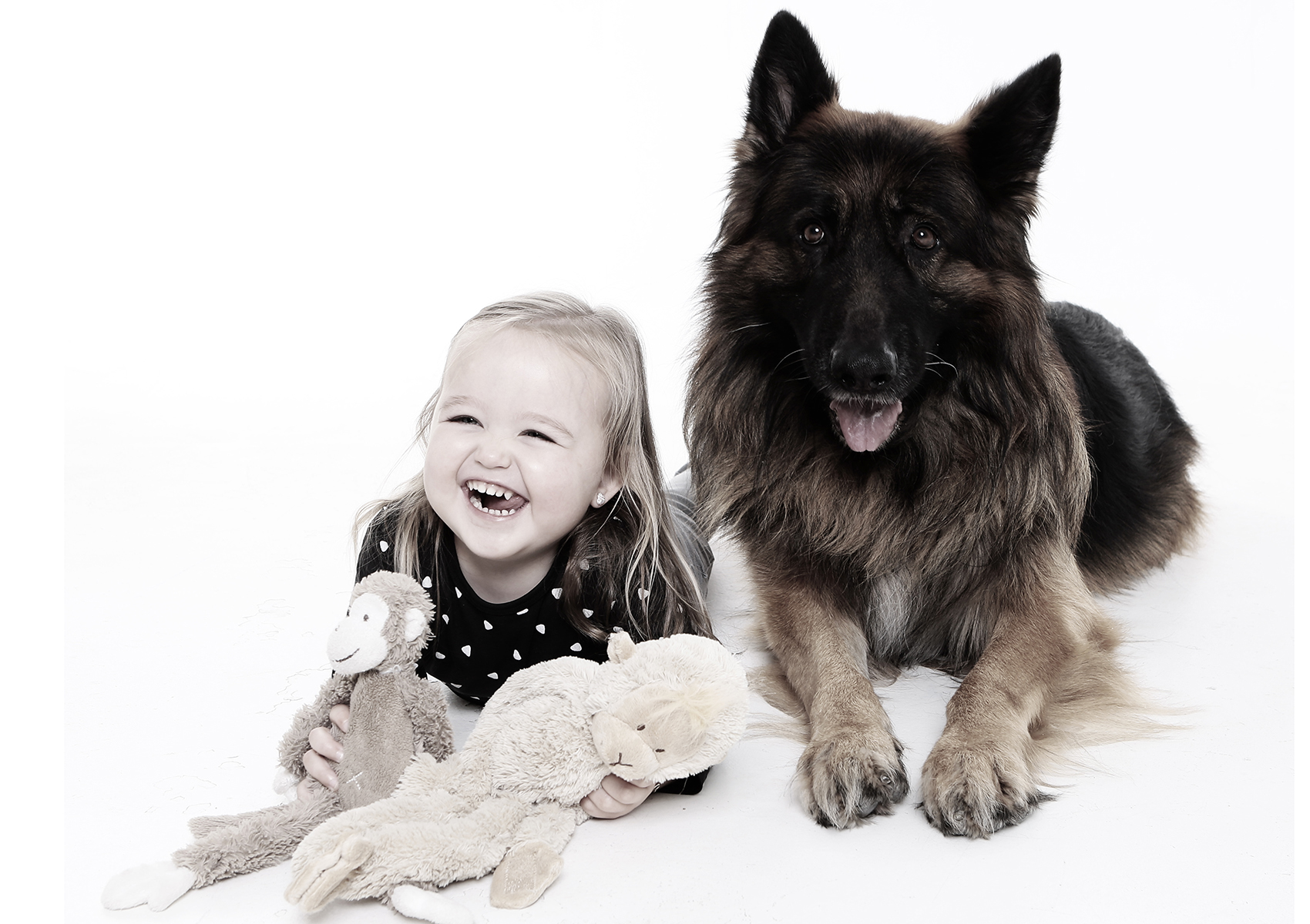 DIEREN